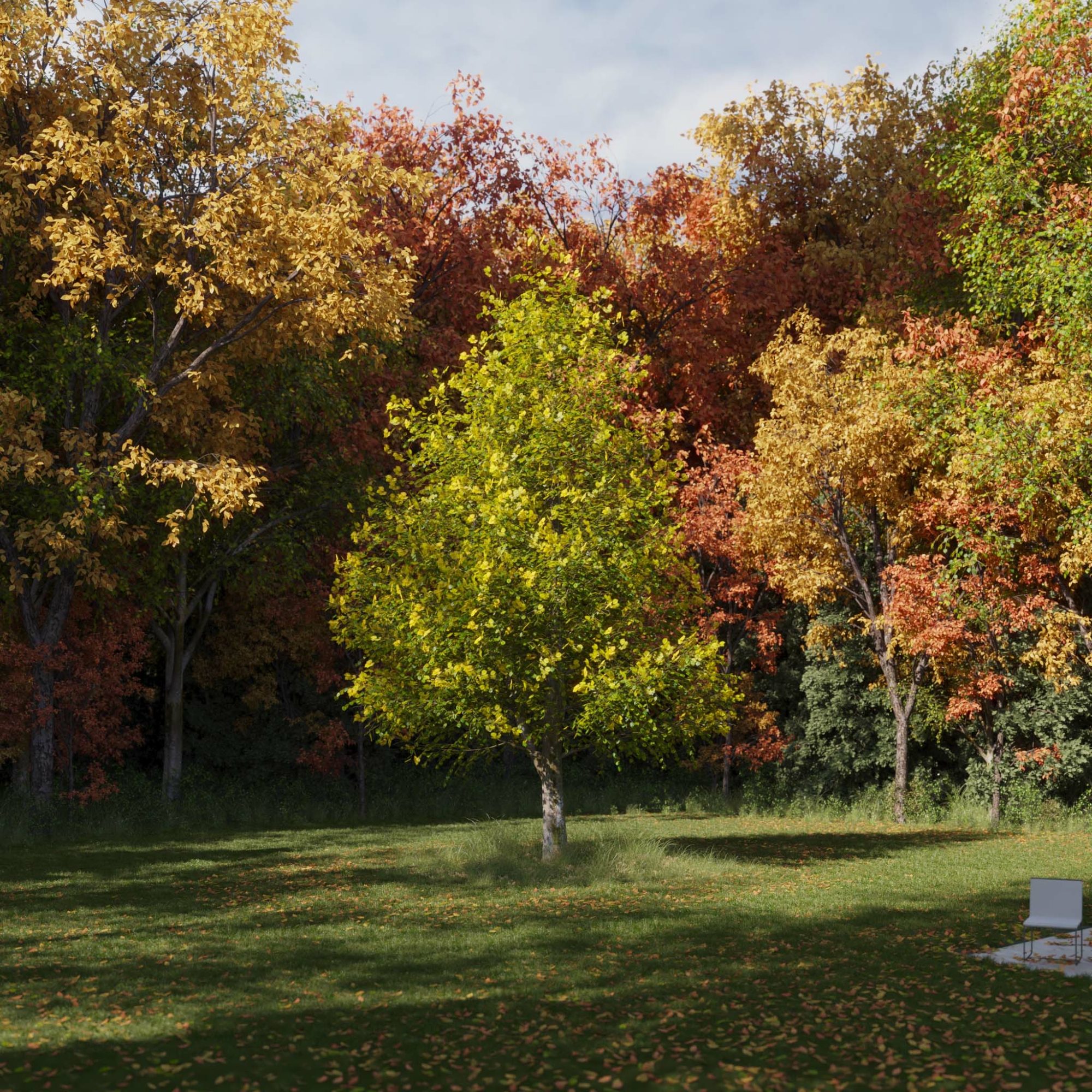 Realistic Ttree 3D tree models for realistic architectural visualization